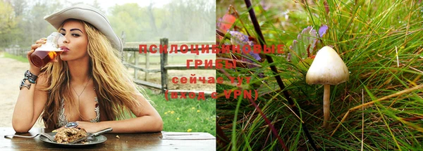 прущие крисы Инсар