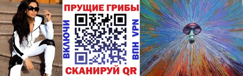 Галлюциногенные грибы Cubensis  ОМГ ОМГ как войти  Мантурово 